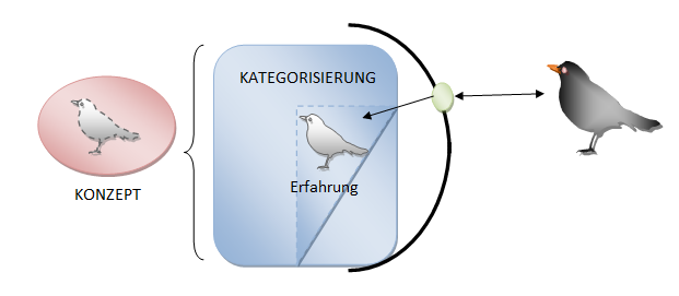 Kategorisierung von Vogel